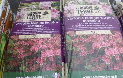 LE CHÊNE FLEURI Ancenis Maine Et Loire 49 Bruyère 40L