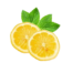 LE CHENE FLEURI Ancenis Maine Et Loire 49 Menthe Citron Lemon