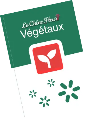 Catalogue végétaux
