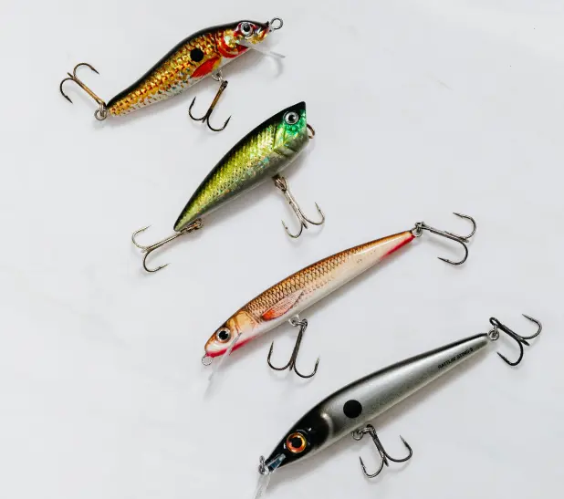 appats de peche