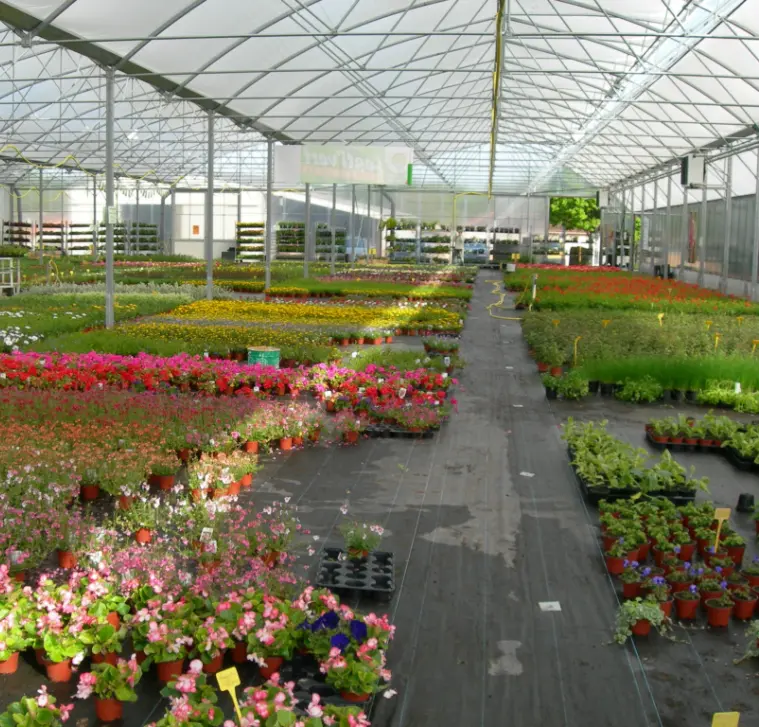 le chene fleuri